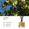 Cuero vintage aromaterapia hogar dormitorio baño osmanthus ratán fragancia desodorante para el hogar adornos frescos duraderos venta al por mayor
