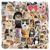 50 Lindos Stickers de Graffiti de Colección de Gatos y Perros para Botellas de Agua, Maletas, Cuadernos y Decoraciones de Teléfono al por Mayor