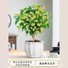Osmanthus em Vaso Forte Aroma Quatro Estações Osmanthus Muda Flor Osmanthus Interior Varanda Perene Floração Sempre-verde Mesa