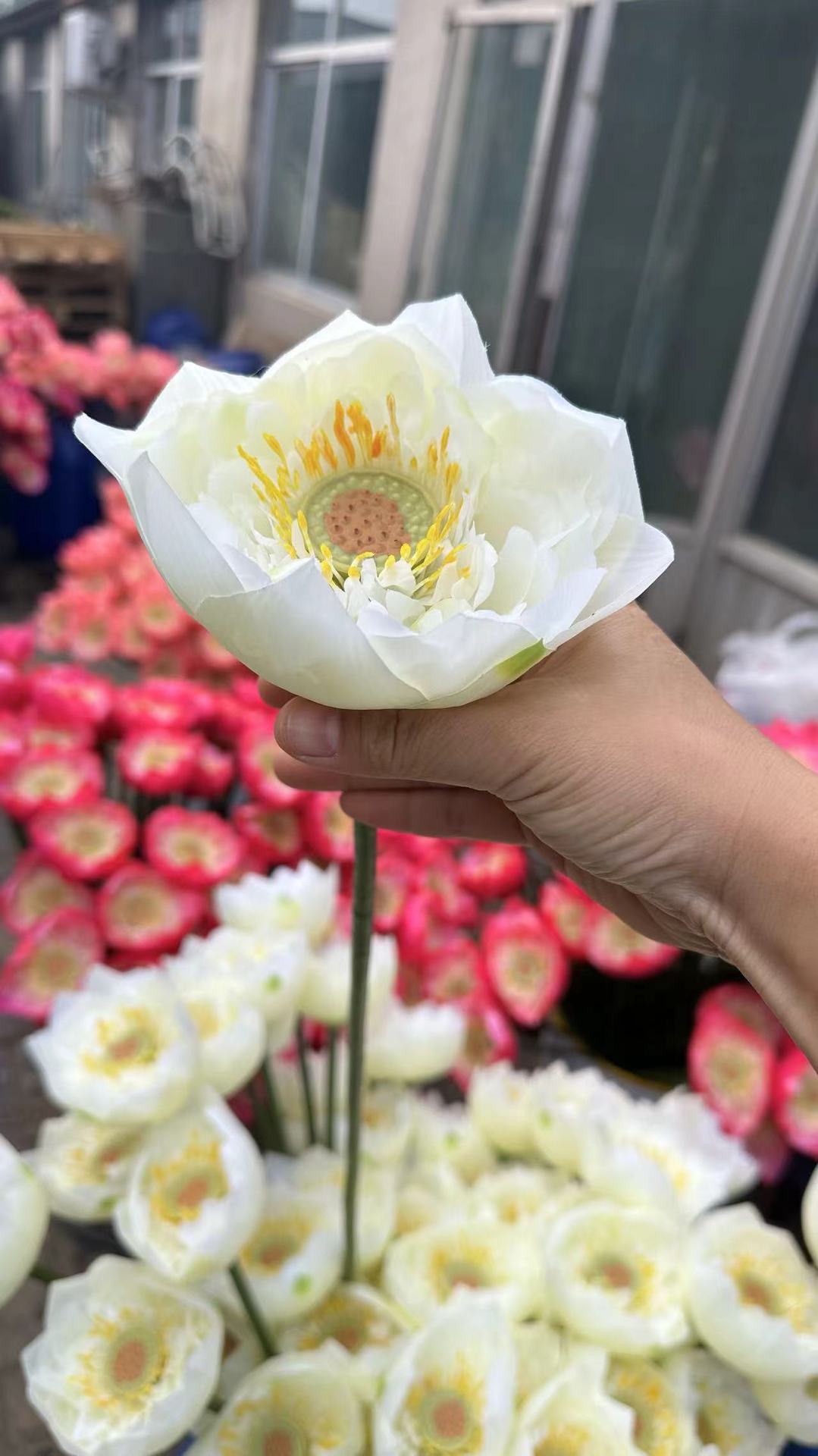 微信图片_20240929180101.jpg
