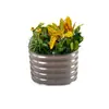 Caja de Cultivo de Verduras de Chapa Galvanizada Cama de Plantación de Jardín Jardín Acampada Cama de Metal para Verduras Caja de Plantación Huerto de Verduras