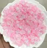Tarjeta 12 Flor de Estrella de Cinco Puntas Mapei Color Portaflores Luminoso Estilo Antiguo Pasador Tocado Accesorios para Joyería DIY con Cuentas Venta al por Mayor
