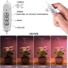 Lámpara LED retráctil para crecimiento de plantas, anillo de ángel, suculenta, anti-luz solar, espectro completo, temporizador de floración, luz de relleno para plantas