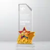 Medalla Trofeo Colorido de Cristal Creativo Metal Aniversario de Empresa Deporte Incentivo Personal Grabado en Vidrio Premio Conmemorativo