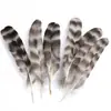 80 Tipos de Penas Naturais de Faisão, Penas Reais, Decorações Nativas Americanas, Acessórios DIY, Acessórios de Cabelo, Peças para Brinquedo de Vara para Gato