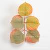 Comércio exterior hot-selling simulação planta verde plástico multi-estilo planta aquática folhas DIY decorativo buquê grinalda arranjo de flores acessórios