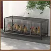 Jaula para Pollos para Uso Doméstico, Jaula de Cría de Pollos, Jaula de Hierro para el Hogar, Gallinero, Jaula Grande para Pollos Ponedores con Envío Gratis por Ruimao