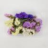 Flor Eterna Flor Seca Aliento de Bebé Kit de Material DIY Aromaterapia Resina Rosa Flor Seca Nomeolvides Marco de Fotos Abanico Redondo Diseño Creativo