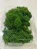 Musgo de Reno Preservado Flor Seca DIY Paisajismo Micro Paisaje, Botella Ecológica, Planta en Maceta de Vidrio, Cubierta de Suelo para Bonsái