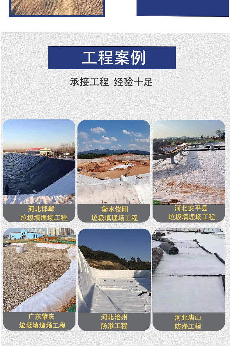 复合排水网_08.jpg
