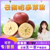 Manzanas Corazón de Azúcar de Zhaotong, Yunnan, Seleccionadas Cuidadosamente, Compra Grupal, Dropshipping, Caja de Regalo de Manzanas Feas, Fruta Fresca de Temporada