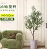 Planta de olivo en maceta para sala de estar interior, esquejes reales, planta grande en maceta, fácil de cuidar, adecuada para inauguración de casa y mudanza