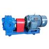 Bomba de isolamento de asfalto jaqueta de isolamento de bomba de resina bomba de óleo de engrenagem de ferro fundido de alta temperatura bomba de óleo de condução de calor fornecimento de fábrica