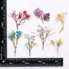 Galhos de hortênsia, flores secas prensadas reais feitas à mão, enfeites decorativos para porta-retratos DIY, marcadores de página de cera perfumada, pinturas criativas, espécimes de plantas