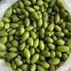 Aceitunas Dulces Frescas, Aceitunas Verdes, Fruta Verde para Sopa, una Especialidad de Chaoshan, Recién Cogida y Comida Cruda, con un Dulzor Persistente