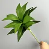 Plantas Verdes Artificiales: Bambú Lirio, Madera Brasileña, Árbol de Sangre de Dragón, Calathea, Hierro de Belleza, Paisajismo de Interiores, Decoración Floral de Entrada, Hojas Verdes