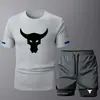 Nuevo Conjunto de Dos Piezas para Hombre, Moderno, Cuello Redondo, Manga Corta, Verano, Casual, Deportivo, Shorts de Fitness, Transpirable, Secado Rápido, Listo para la Venta
