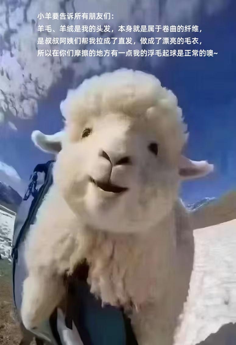 O1CN01LPULkD1OvKr5tTF2J_!!1641