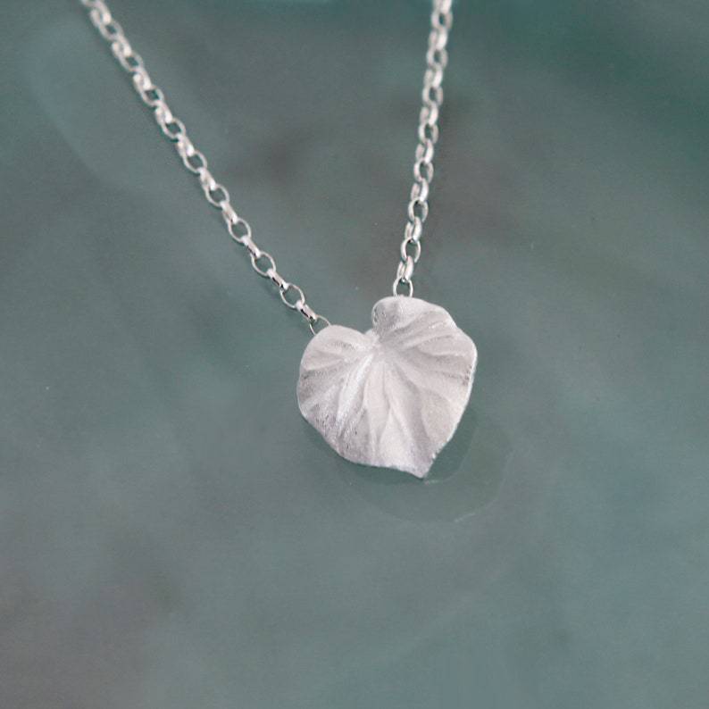 微信图片_20221206094954_3