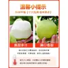 Las Peras Crown Son Peras Frescas de Temporada Muy Recomendadas. una Caja Entera de Peras Corona, Peras Frutales Crujientes, Peras de Miel, Peras Tempranas, Peras Verdes de Dangshan, China