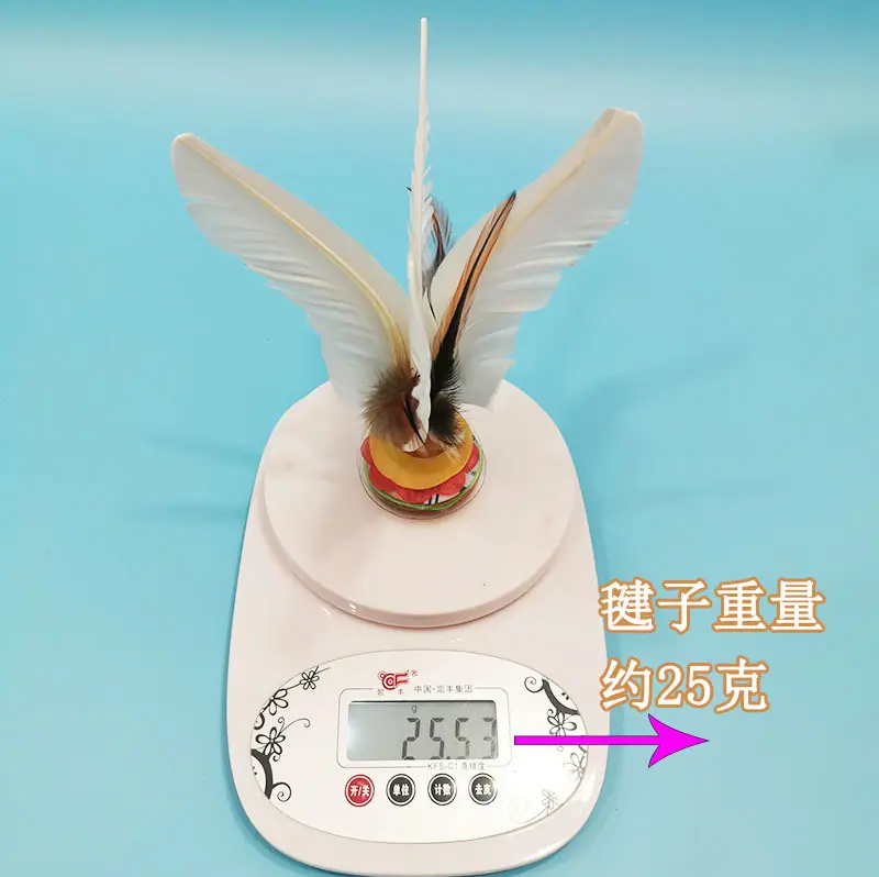 闪光大白毽_08