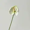 Flor Artificial de Anturio Falso Impresa en 3D Anturio de Fuego Decoración de Salón de Bodas Decoración del Hogar Planta Verde Artificial Fabricante de Flores Falsas