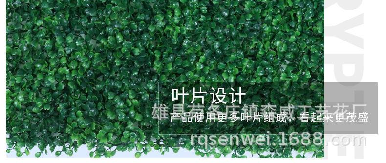 加密米兰草_06.jpg