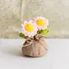 Bolsa de la Suerte Tejida a Crochet Hecha a Mano Transfronteriza Plantas Pequeñas en Maceta Muebles para el Hogar Decoración de Rosa Tejida de Lana Plantas en Maceta Flor Simulada