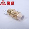 2104119984 Accesorios de fábrica Compresor de aire de tornillo Fusheng G1/2, válvula de seguridad 9 bar