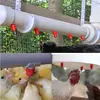 Bebedero Automático para Aves de Corral para Pollos, Patos y Gansos, Conector de Tubería de Tres Vías Engrosado con Cabeza Roja para Bebedero de Pollos