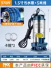Bomba Sumergible de Acero Inoxidable 220v Doméstica Pequeña de Alto Cabezal Bomba de Bombeo para Pozos de Agua Riego Agrícola Bomba de Descarga de Aguas Residuales