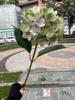 Hortensia rosa claro tacto real cabeza individual hortensia tacto 3D comercio exterior boda decoración suave decoración del hogar flor falsa mayoreo