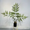 Estilo nórdico mono dorado biónico Helecho Planta verde viral cabeza de mono Helecho en maceta árbol falso pelo dorado perro Helecho adornos para sala de estar interior