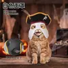 Suministrado directamente por el fabricante: Disfraz de pirata para mascota de Halloween, sombrero con decoración de plumas, sombrero de pirata con calavera y set de máscara con bigote