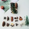 Flores secas frutas secas cáscaras de frutas piñas decoración hecho a mano diy materias primas naturales estilo bosque aromaterapia Navidad peluche