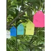 Etiquetas para Plantas Plástico Etiquetas para Flores Etiquetas Marcadoras Etiquetas para Jardín Coloridas Etiquetas Colgantes para Árboles Frutales Marcadores para Plántulas