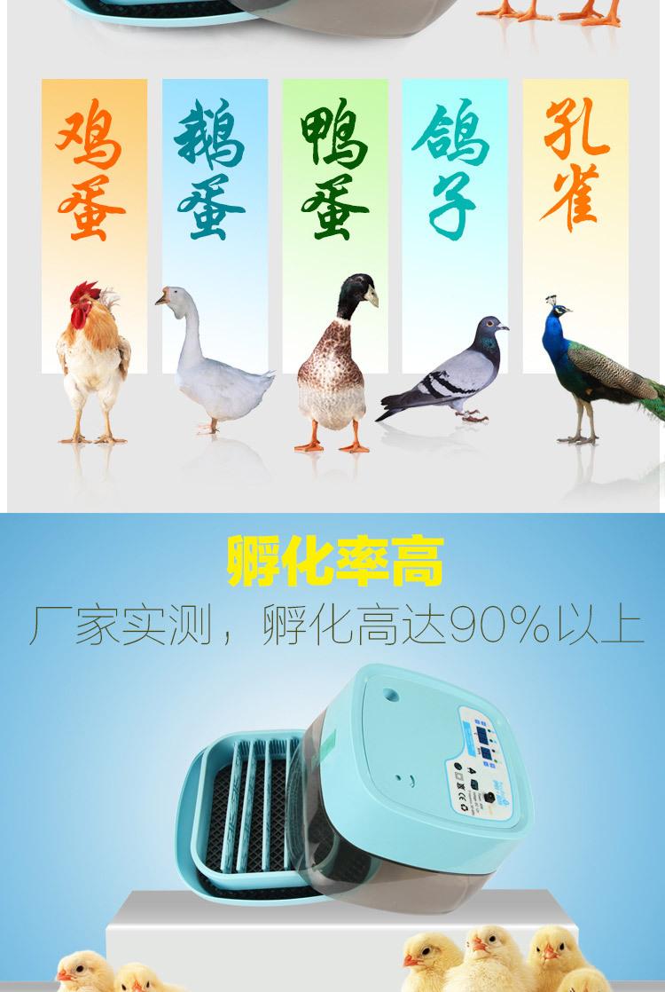 16清新蓝-拷贝_09