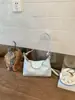 Bolsa hobo casual de moda coreana para mulheres, nova bolsa tote versátil e estilosa para o verão de 2026, bolsa de ombro e transversal para o trabalho