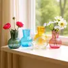 Jarrón de Vidrio de Colores de Boca Ancha Estilo Ins, Jarrón Ornamentado de Escritorio de Lujo Ligero para Sala de Estar Retro, Jarrón Transparente Hidropónico