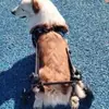 Suministros para mascotas transfronterizos de Amazon: ayuda de movilidad para perros mayores, vehículo especial de rehabilitación para perros con patas lesionadas o discapacitadas