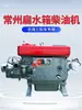 Motor diésel Changzhou 12, 18, 20, 22, 28 caballos de fuerza tanque de agua plano Motor para triciclo agrícola Shifeng Wuzheng