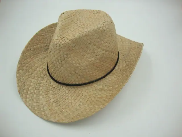 DSC07066