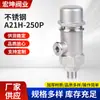 Fabricantes de válvulas de seguridad A21H-250P de acero inoxidable suministran válvula de seguridad con rosca exterior válvula de seguridad de acero inoxidable 304