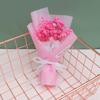 Flor Eterna flor seca ramo estrellado caja de regalo flor a juego regalo para amigas regalo para novia regalo de mano para novia terminado