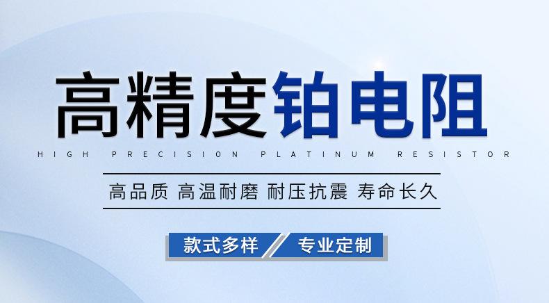 高端装配式铂电阻-详情页1_01.jpg