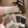 Meias soltas respiráveis versáteis estilo retro old money outono e inverno estilo coreano meias doces de meia-panturrilha femininas