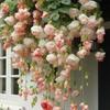 Sementes de flores de begônia de seda, plantas trepadeiras, fáceis de cultivar durante todo o ano, semeadura, floração, plantas de interior e exterior, florais