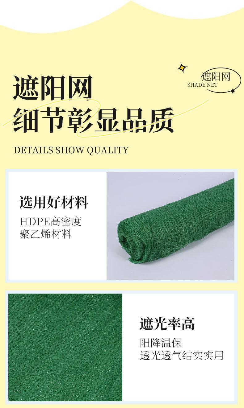 升级加密绿色_13