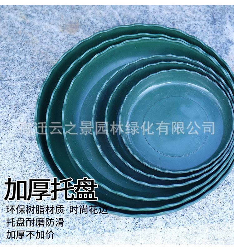 详细10.JPG