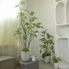 Planta Verde Grande de Simulación para Piso Pera Huanghua en Maceta Mueble para el Hogar Decoración de Interiores Árbol de Simulación Plantas de Viento Silencioso